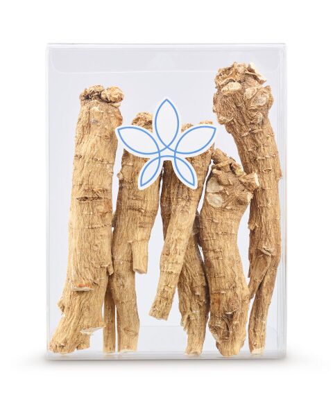 4 Year Old Root - Jumbo